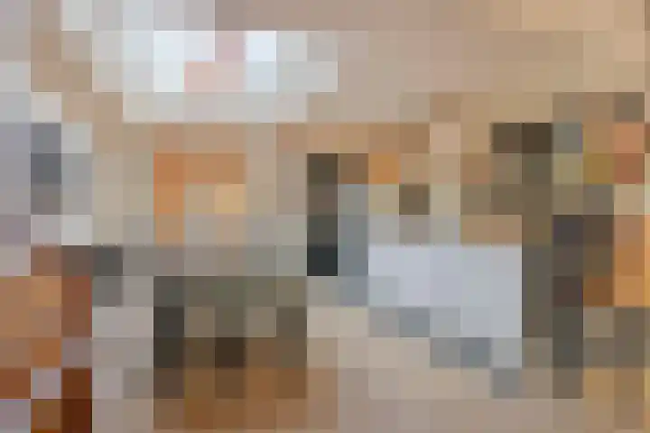 Boomdijk 13 Bruinisse thumbnail 4