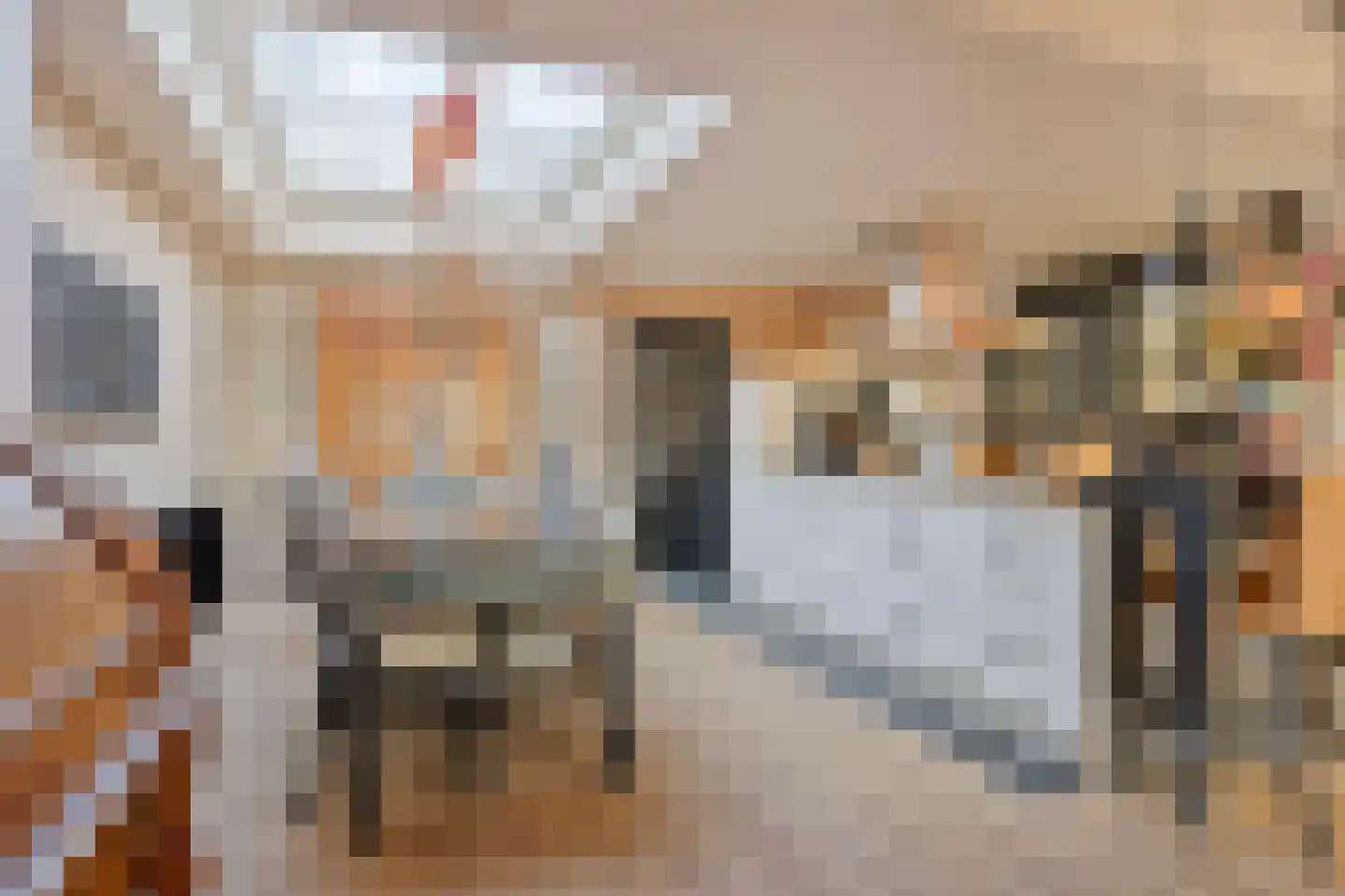 Boomdijk 13 Bruinisse thumbnail 4