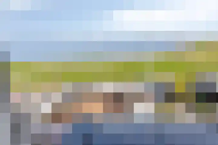 Boomdijk 13 Bruinisse thumbnail 43