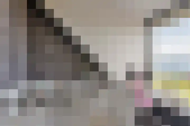 Boomdijk 13 Bruinisse thumbnail 44