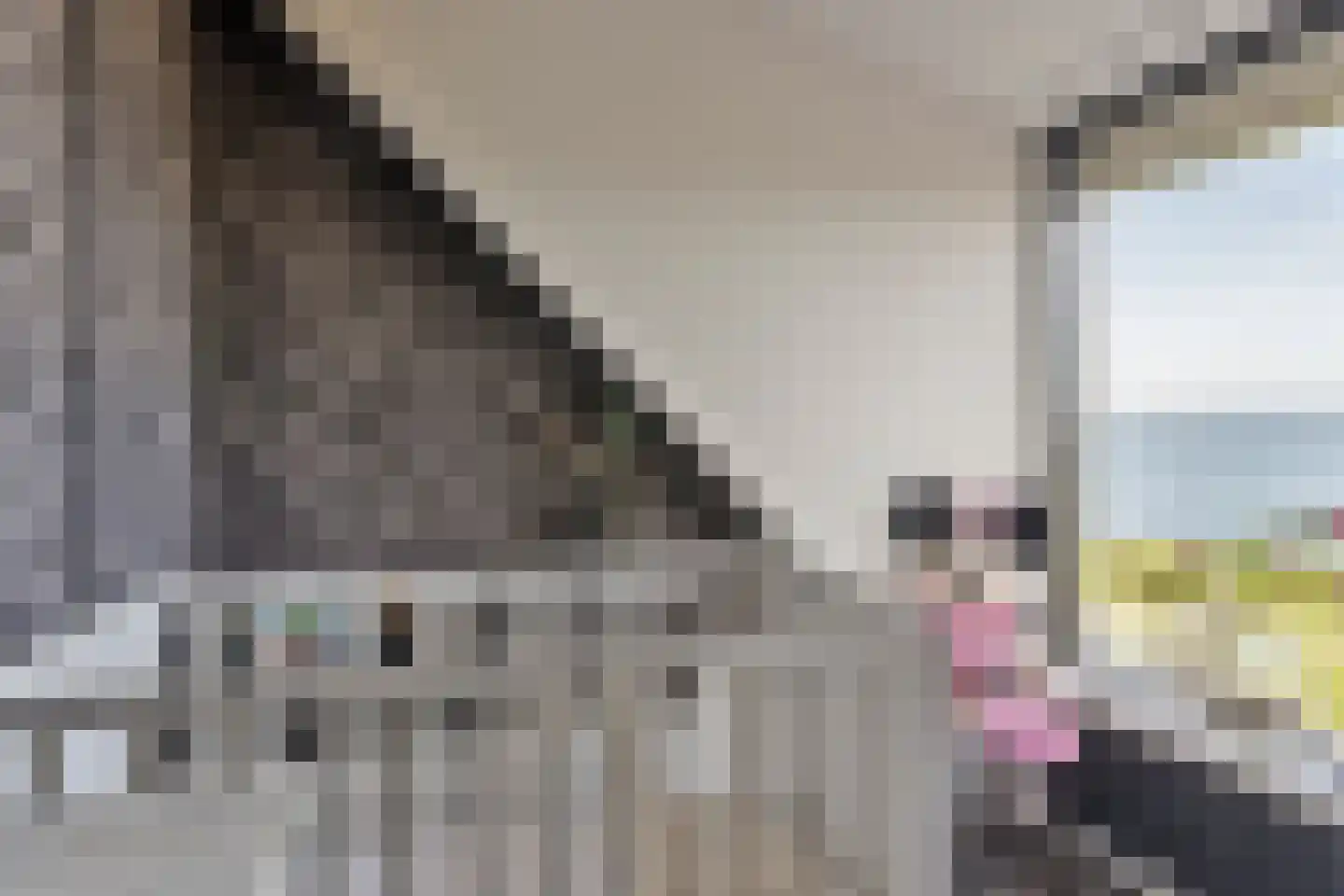 Boomdijk 13 Bruinisse thumbnail 44