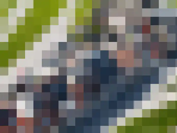 Boomdijk 13 Bruinisse thumbnail 47