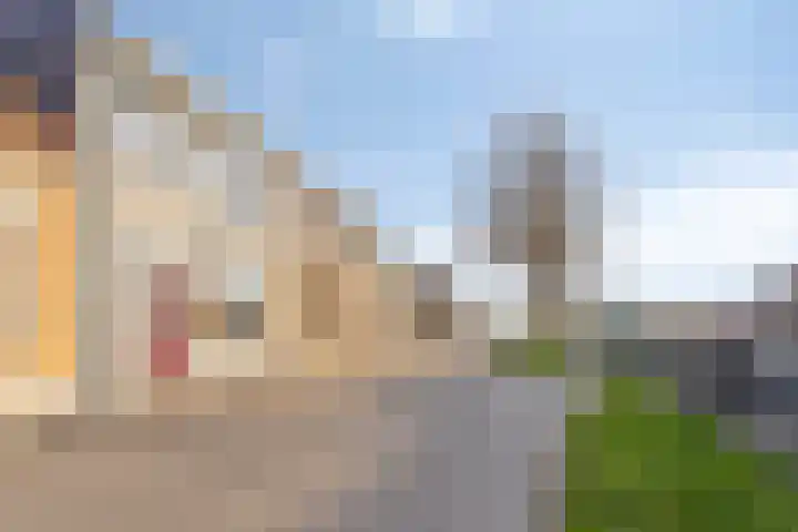 Boomdijk 13 Bruinisse thumbnail 48