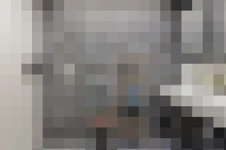 Boomdijk 13 Bruinisse thumbnail 5