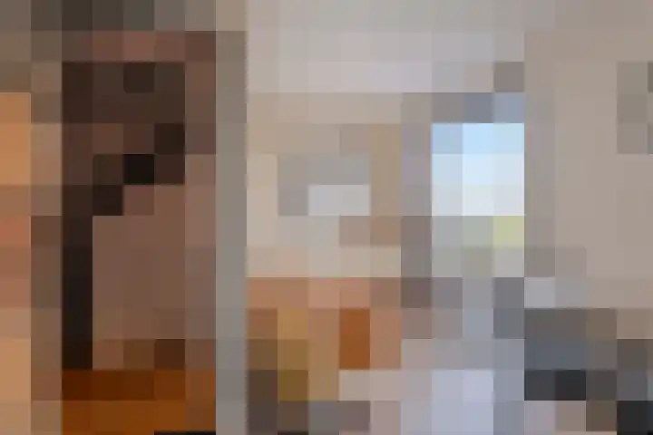 Boomdijk 13 Bruinisse thumbnail 6
