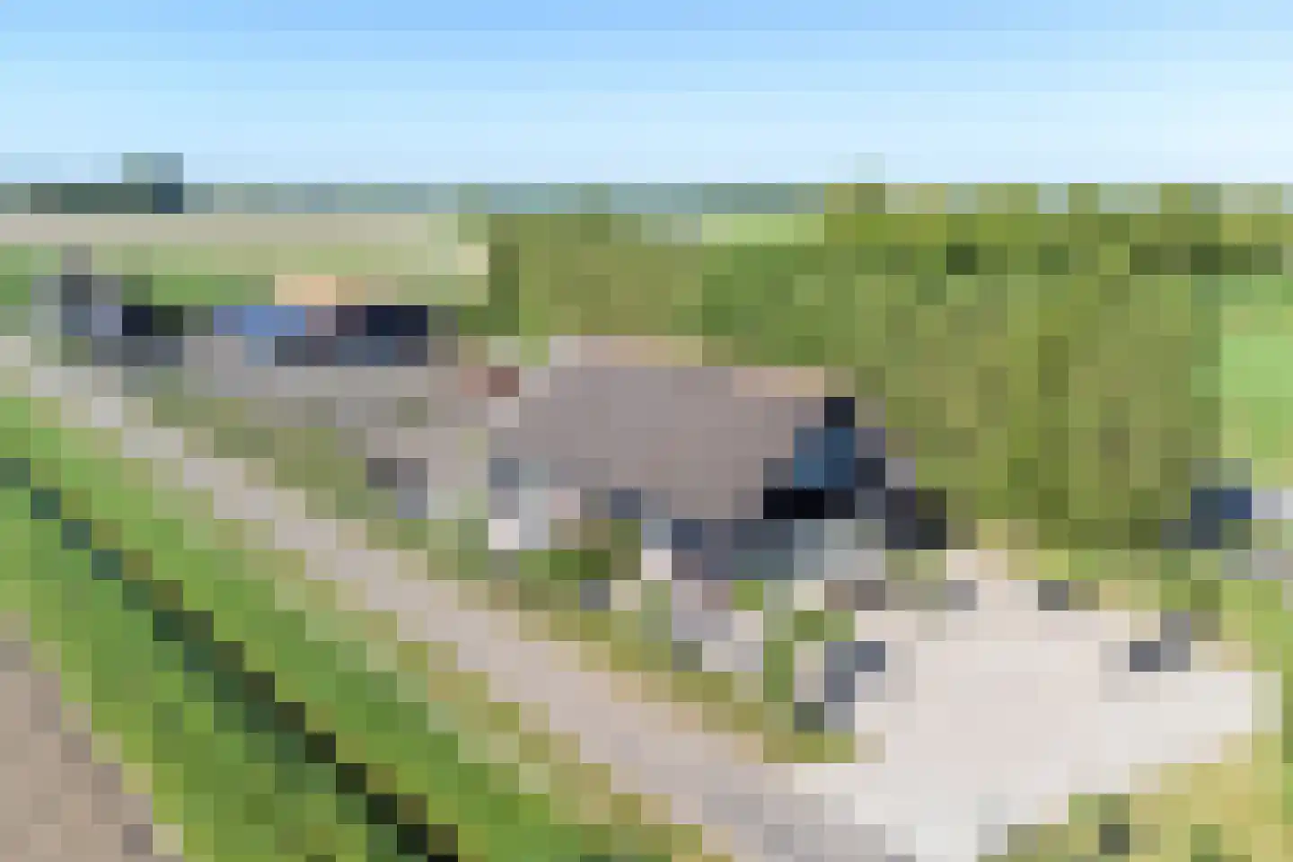 Boomdijk 2 a Kats thumbnail 20