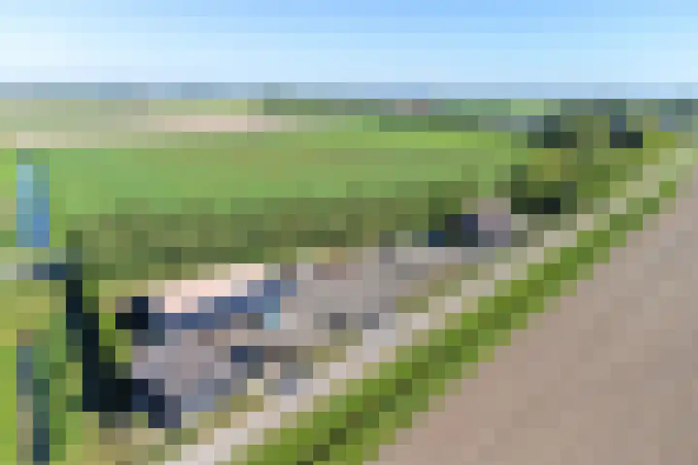 Boomdijk 2 a Kats thumbnail 23