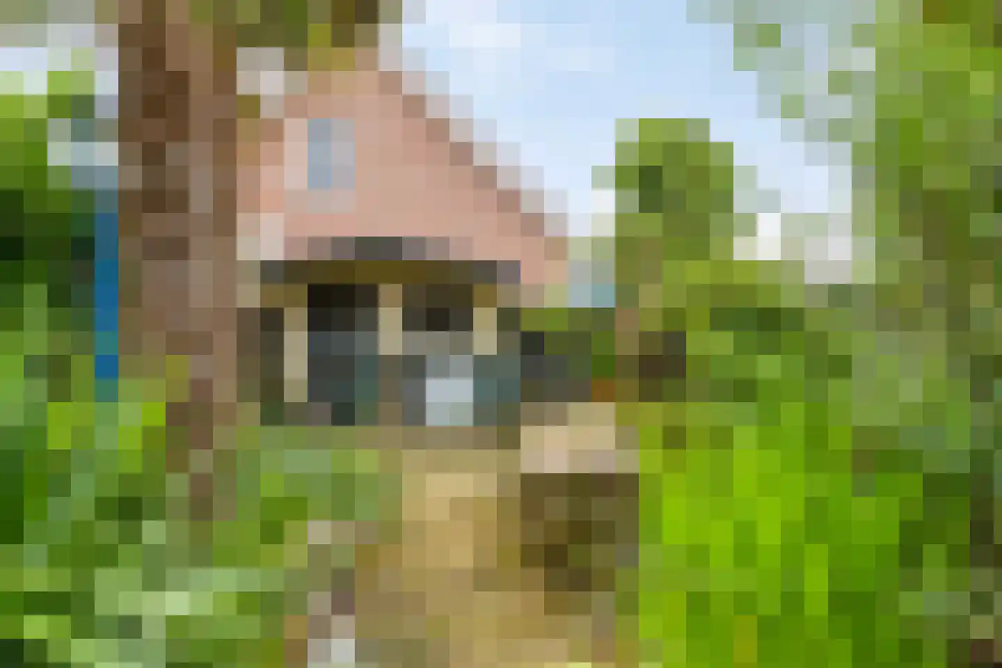 Boomdijk 32 Steenbergen thumbnail 27