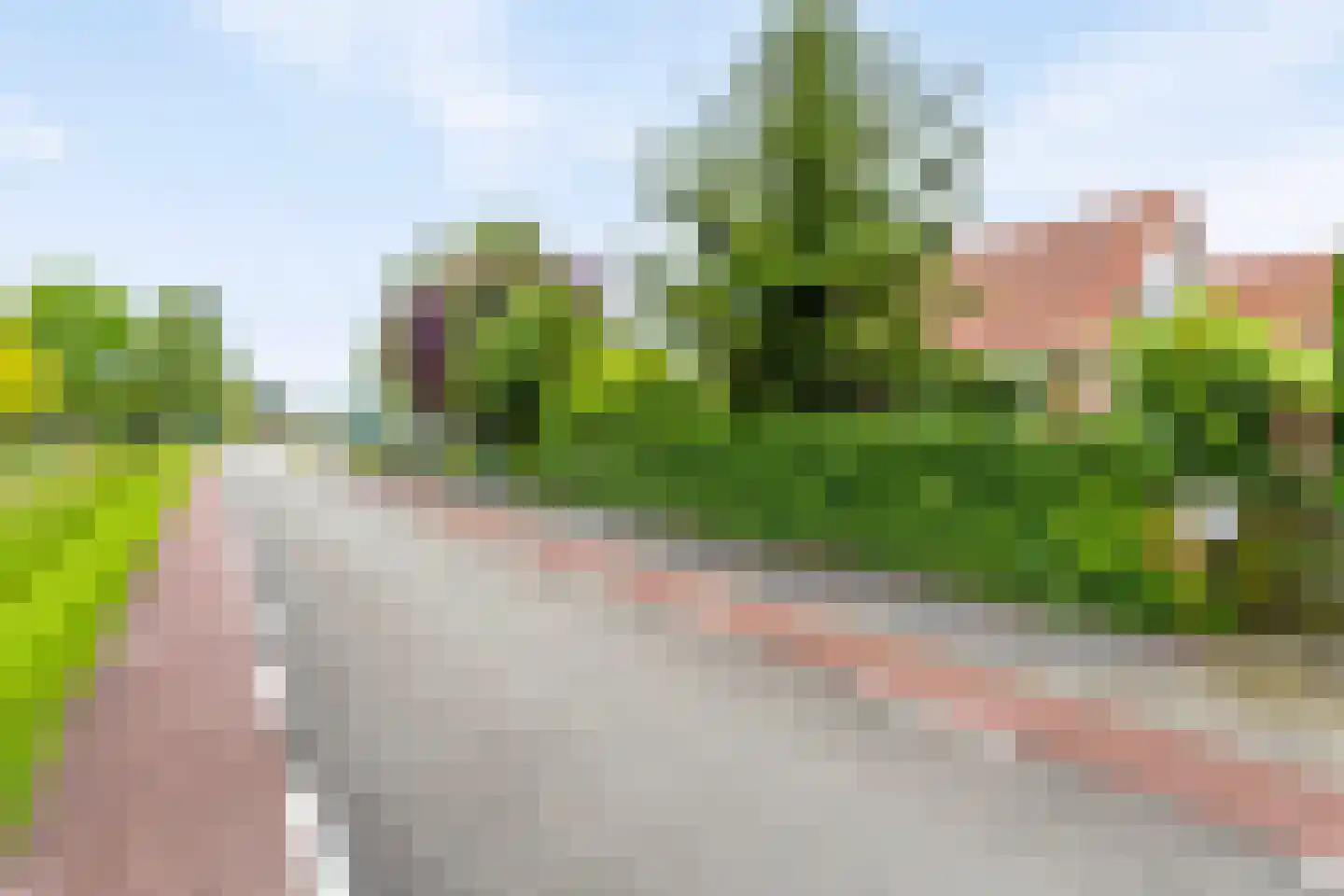 Boomdijk 32 Steenbergen thumbnail 36