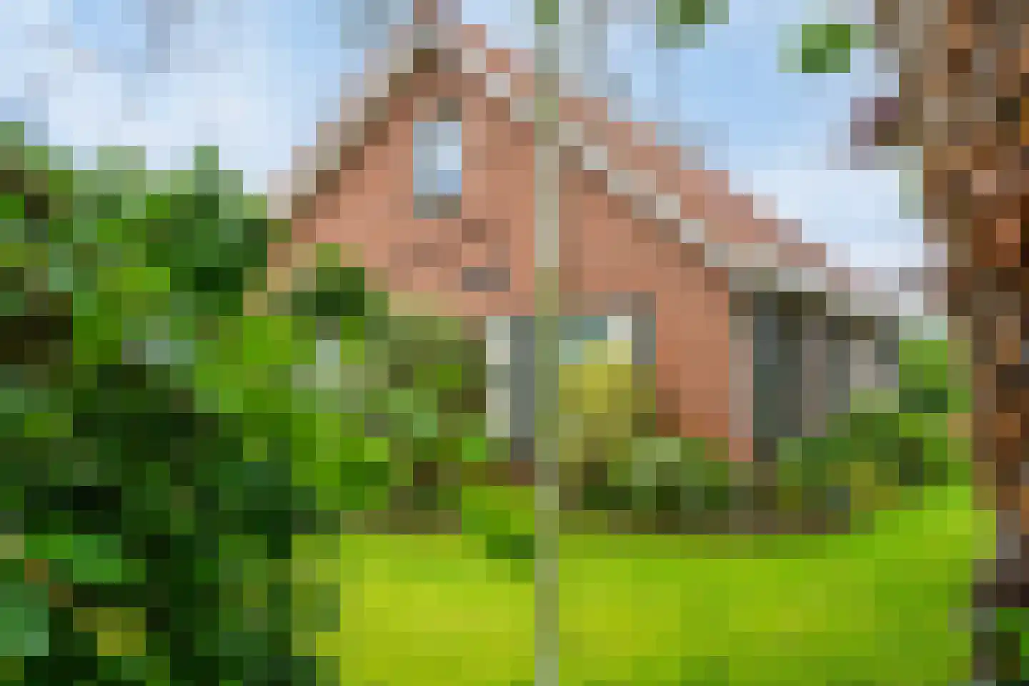 Boomdijk 32 Steenbergen thumbnail 7