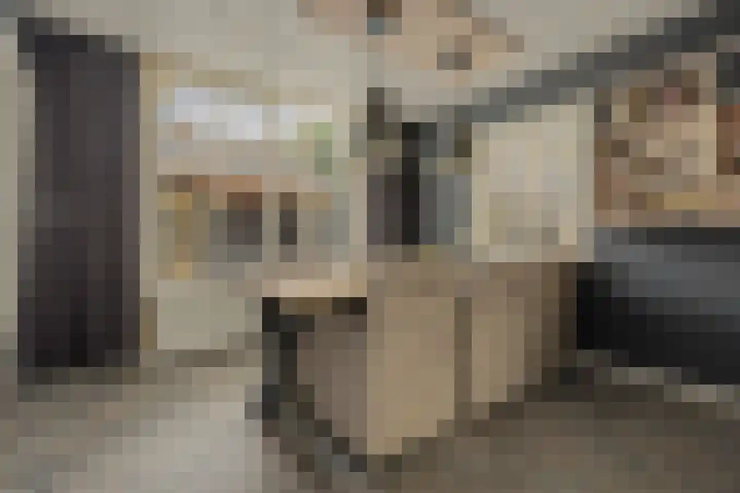 Boomdijk 5 Hansweert thumbnail 12