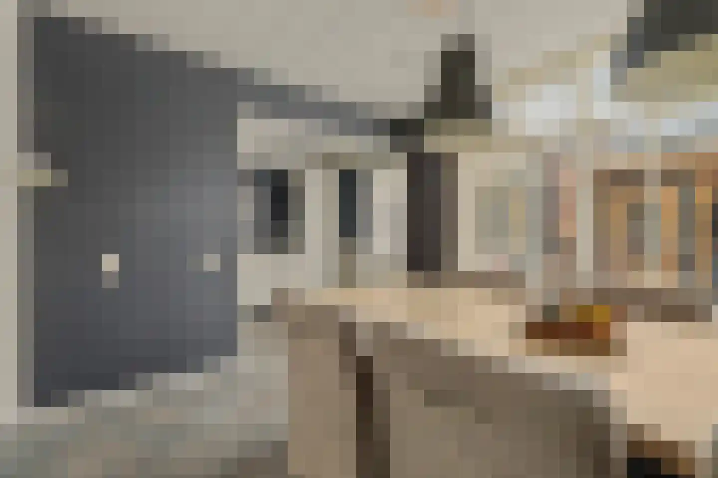 Boomdijk 5 Hansweert thumbnail 13