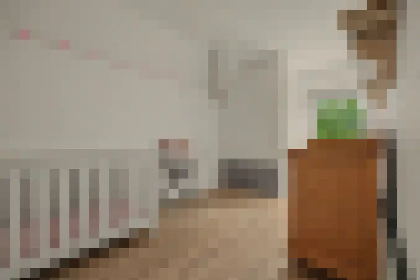 Boomdijk 5 Hansweert thumbnail 21