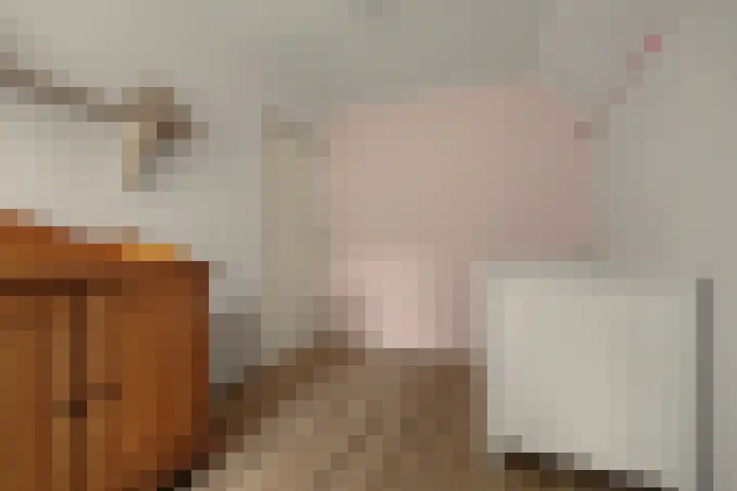 Boomdijk 5 Hansweert thumbnail 22