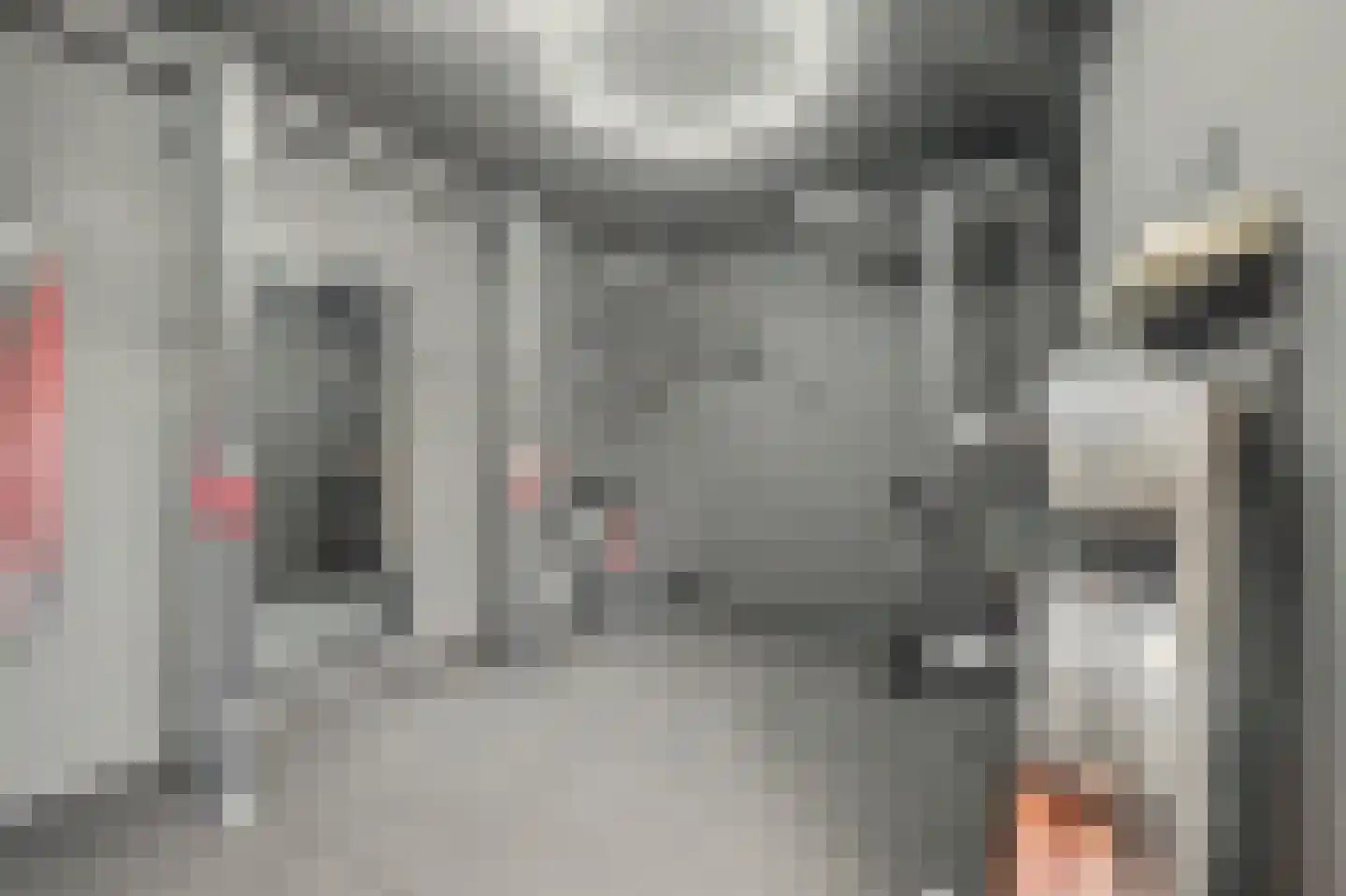 Boomdijk 5 Hansweert thumbnail 30