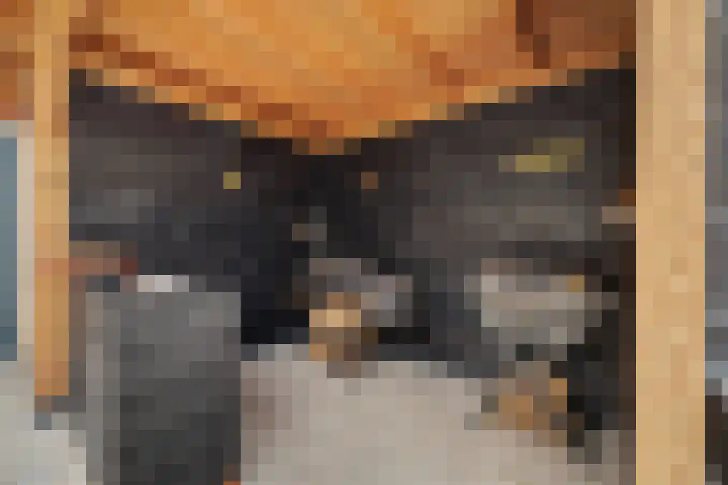 Boomdijk 5 Hansweert thumbnail 34