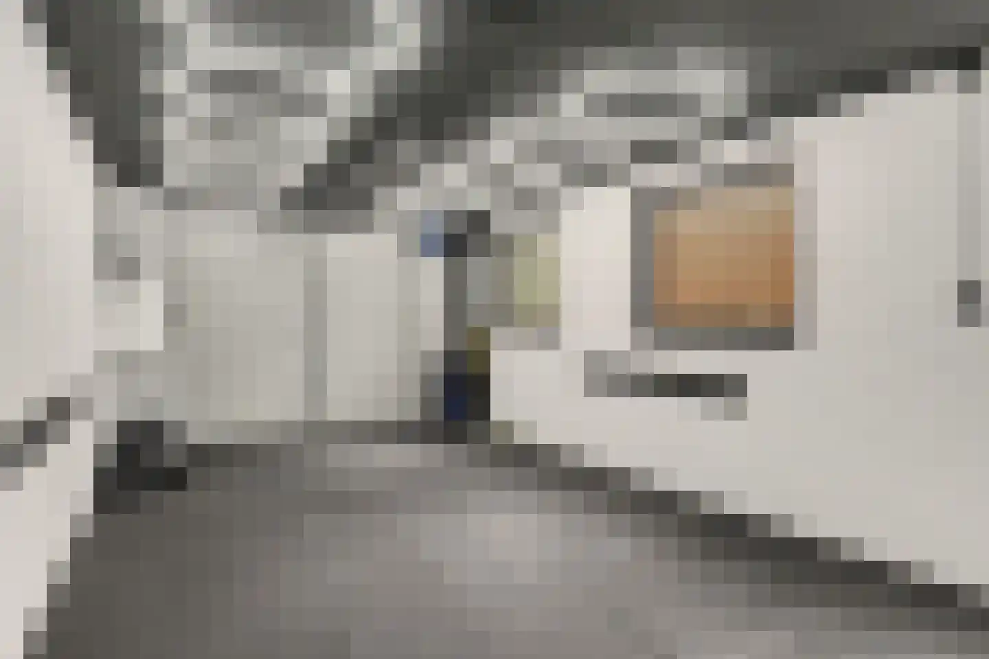 Boomdijk 5 Hansweert thumbnail 37
