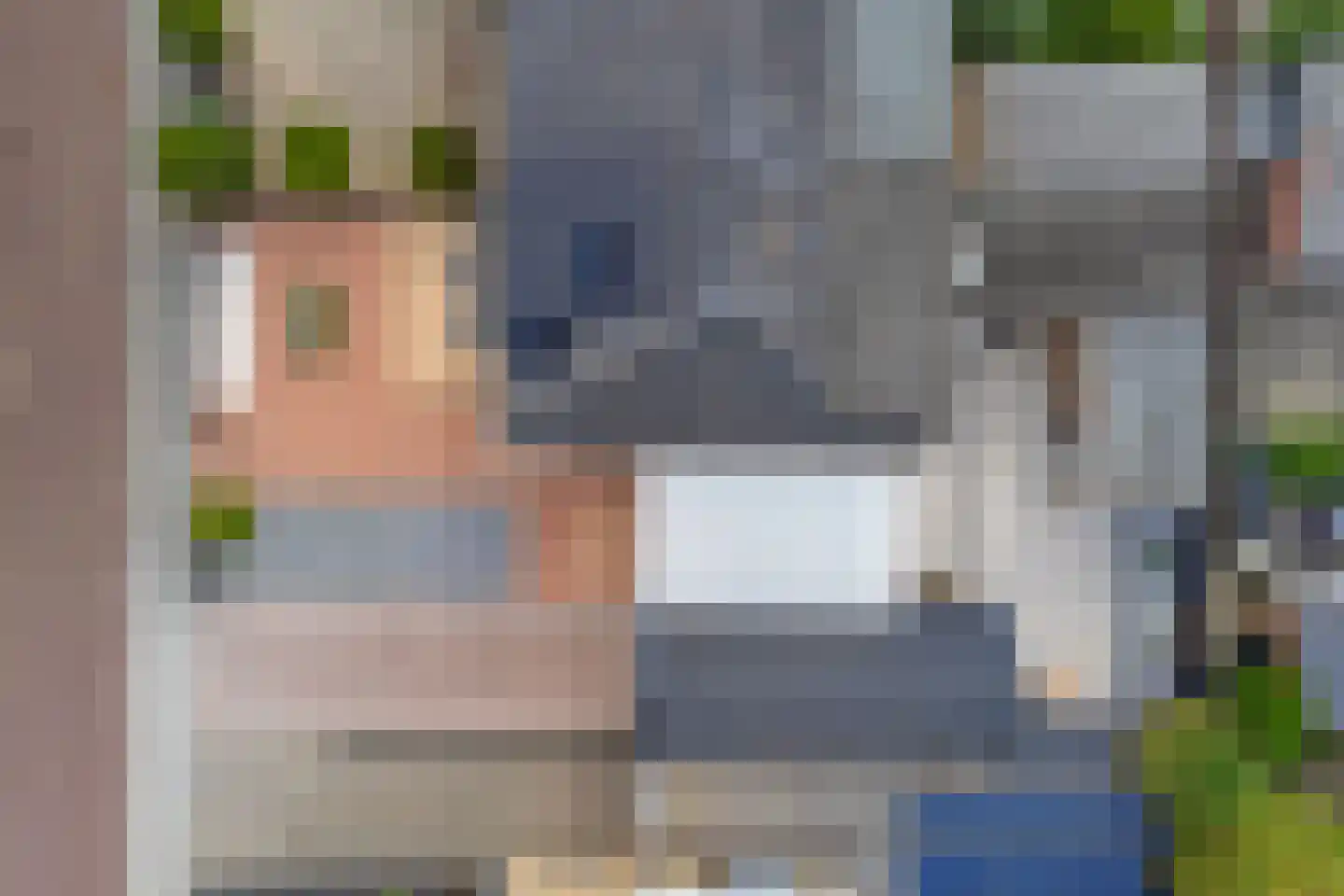 Boomdijk 5 Hansweert thumbnail 46