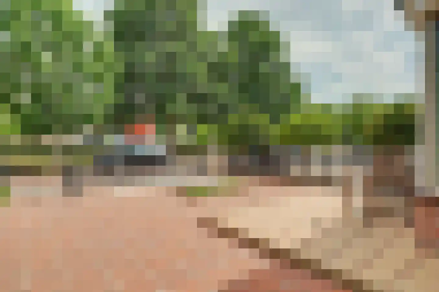 Boomdijk 5 Hansweert thumbnail 50