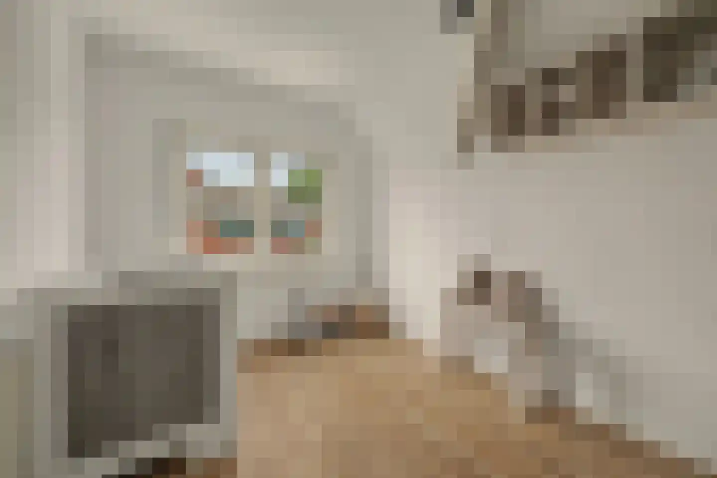 Boomdijk 5 Hansweert thumbnail 56