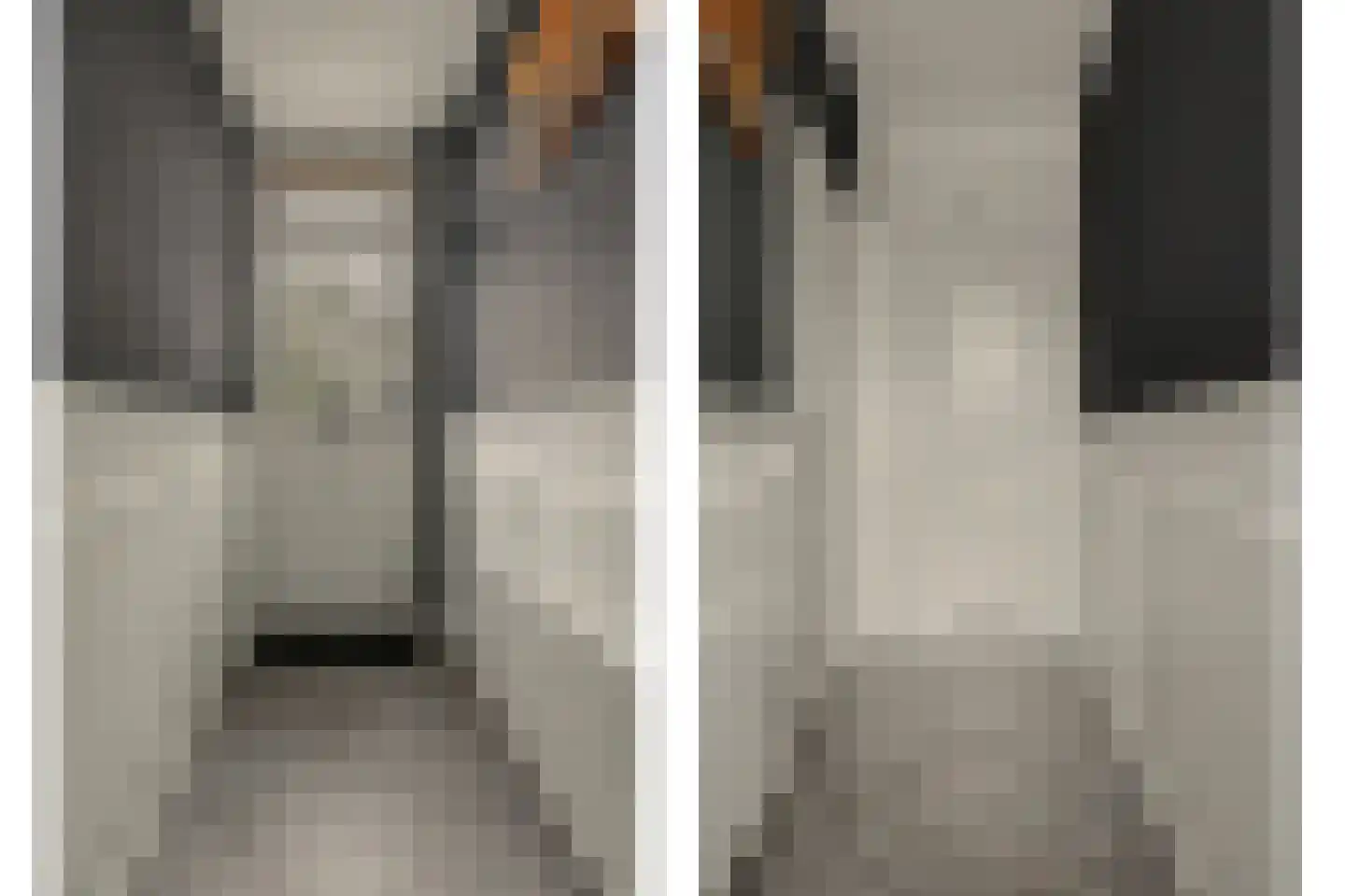 Boomdijk 5 Hansweert thumbnail 8