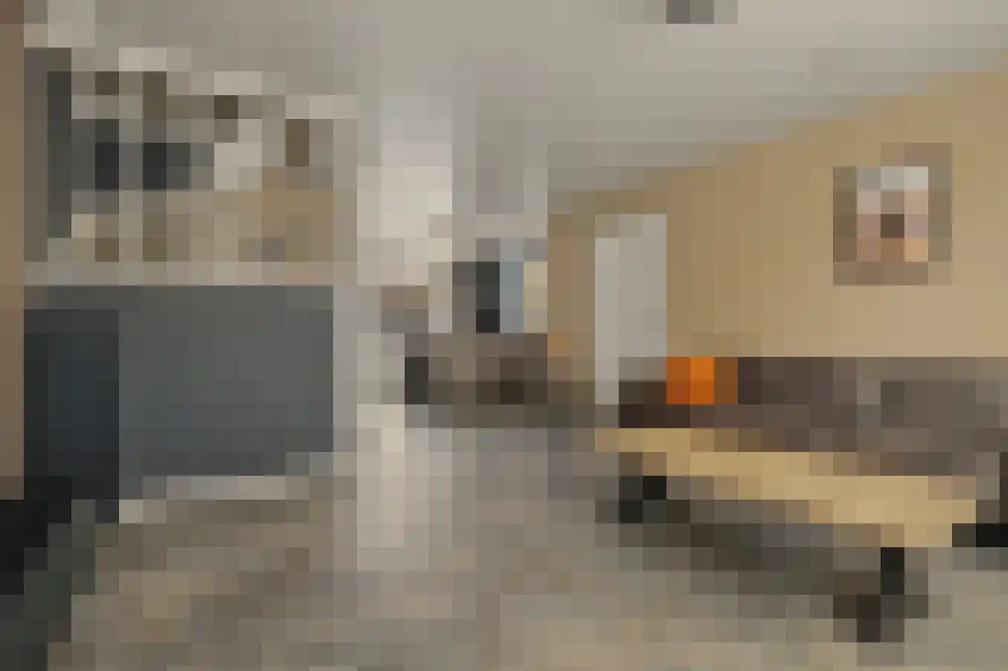 Boomdijk 5 Hansweert thumbnail 9
