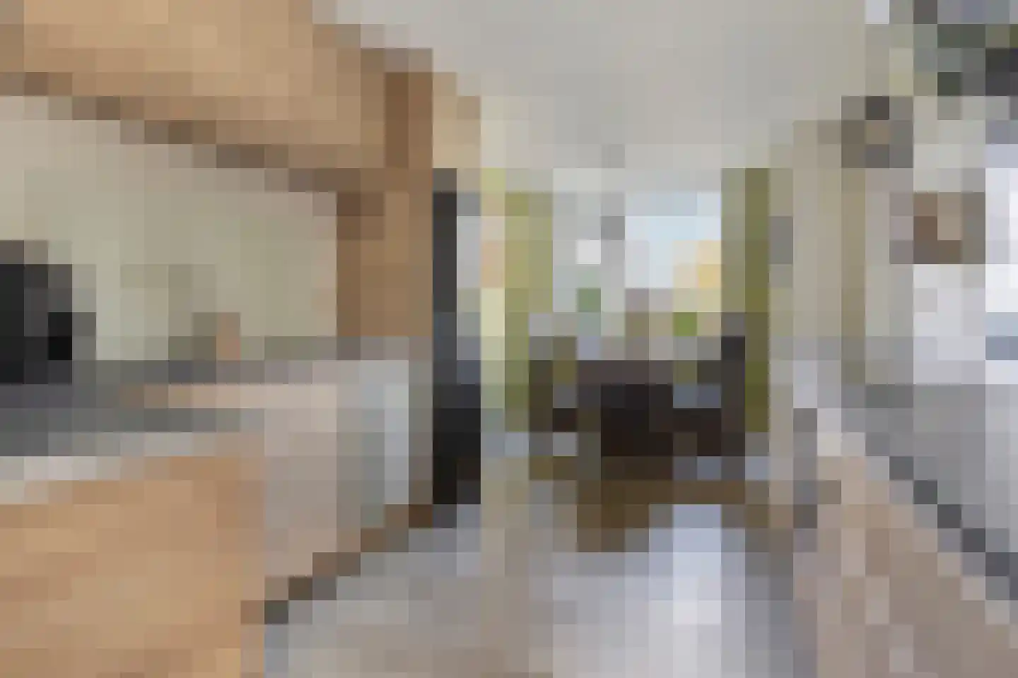 Boomdijk 7 Steenbergen thumbnail 18