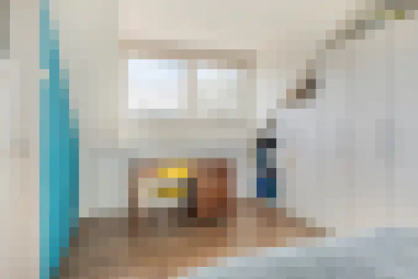 Boomdijk 7 Steenbergen thumbnail 37