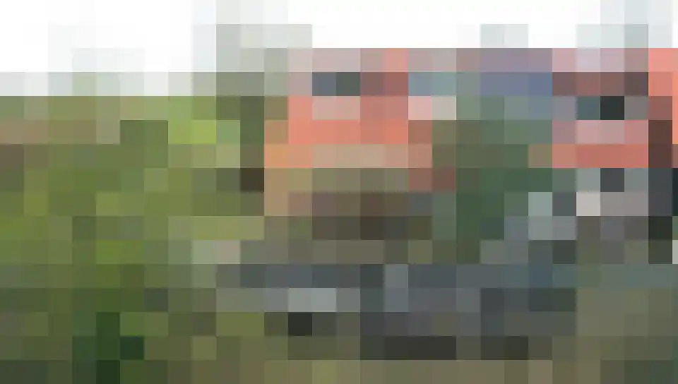 Boomdijk 7 Steenbergen thumbnail 44
