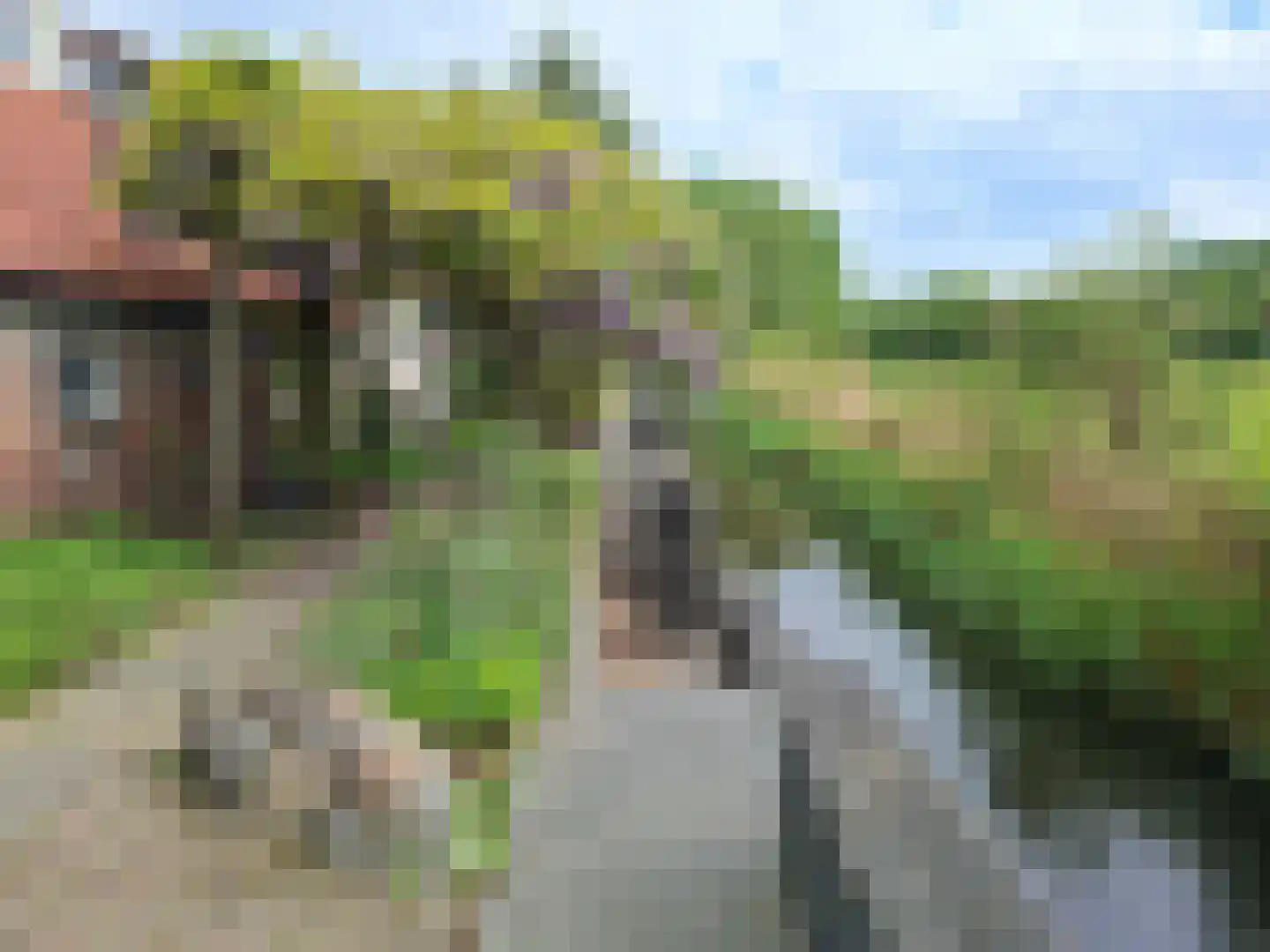 Boomdijk 7 Steenbergen thumbnail 47