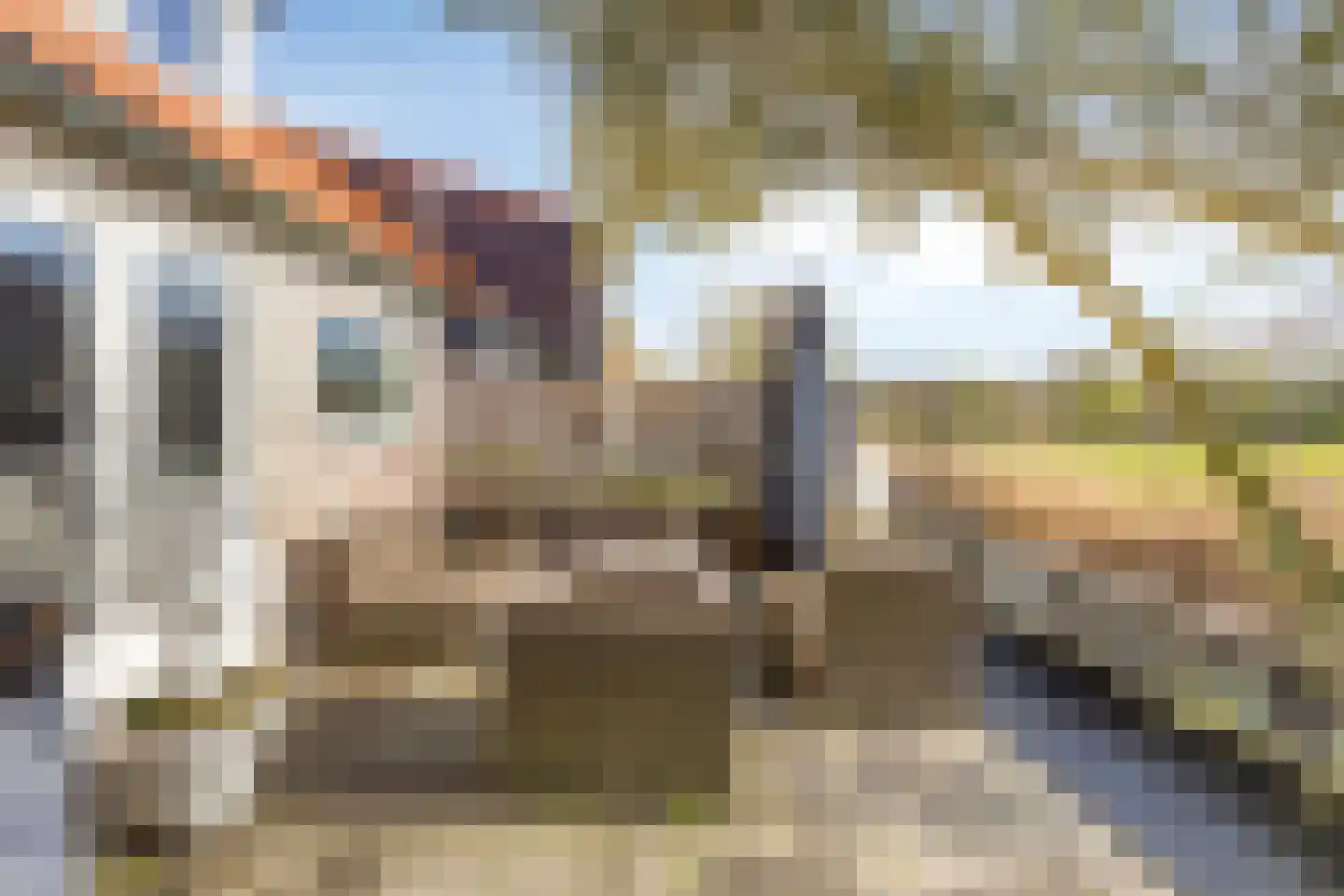 Boomdijk 7 Steenbergen thumbnail 48