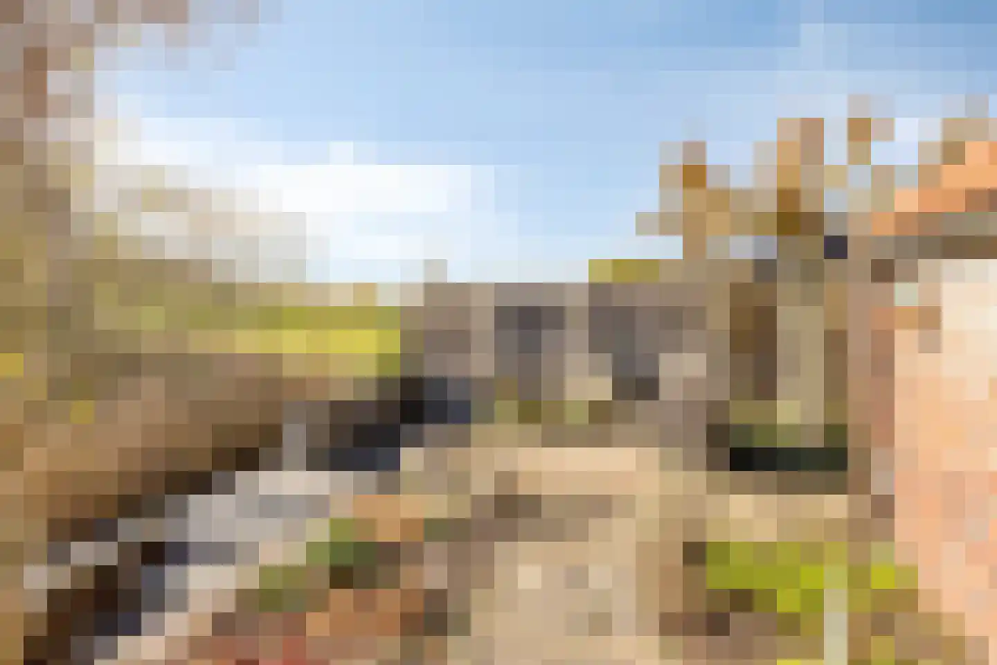 Boomdijk 7 Steenbergen thumbnail 52