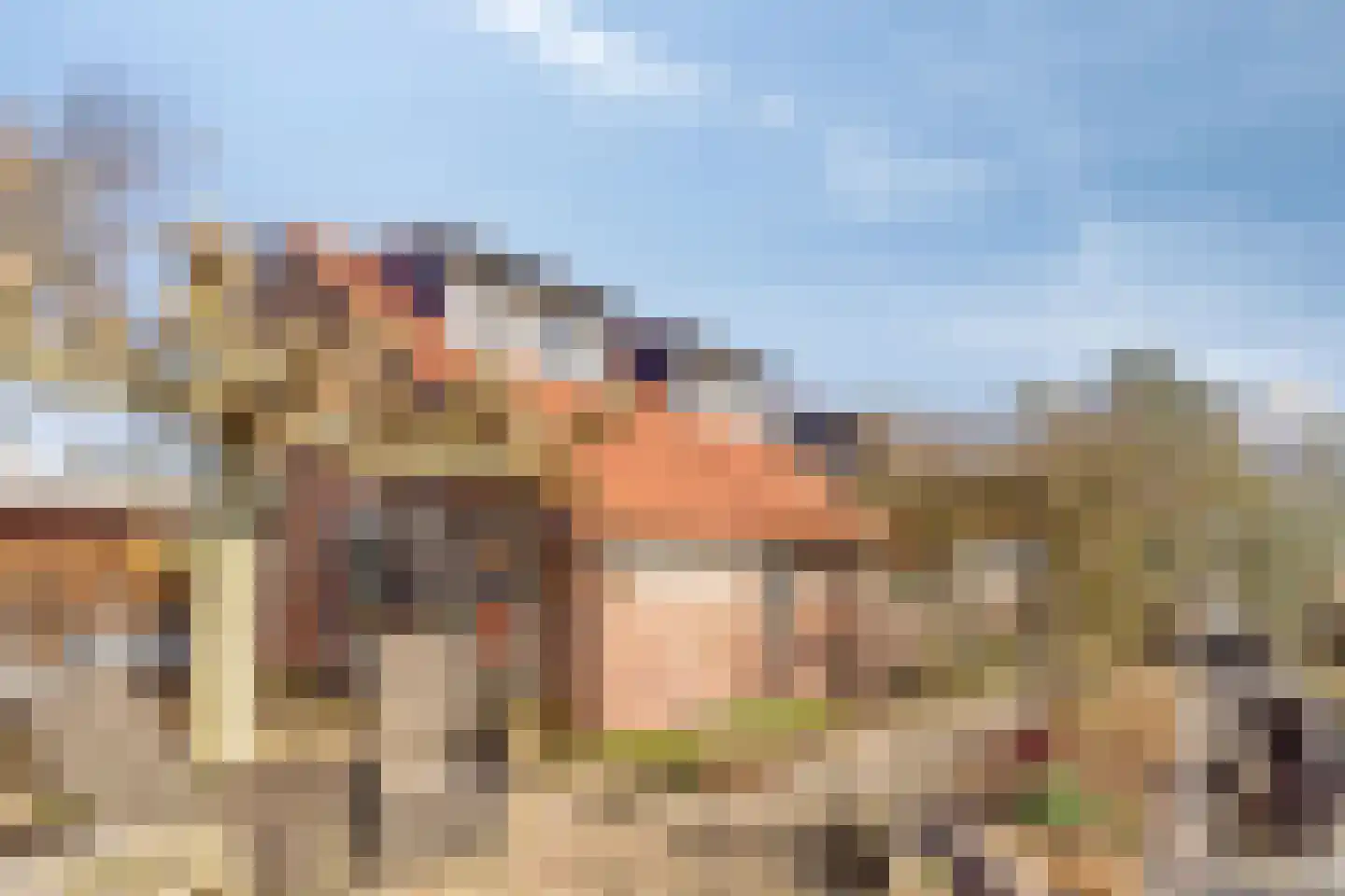 Boomdijk 7 Steenbergen thumbnail 58