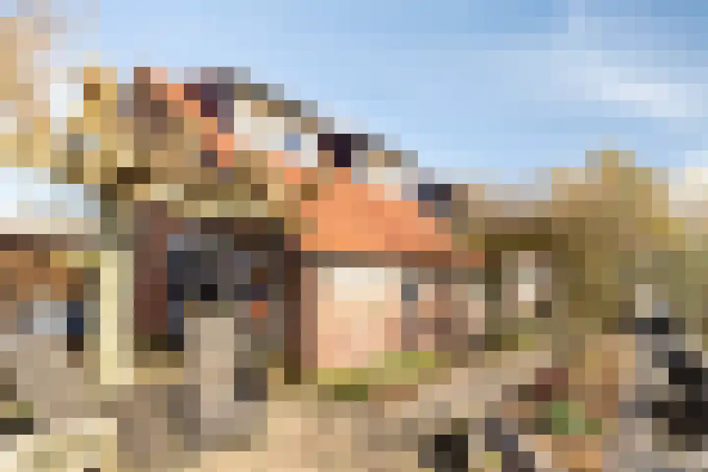 Boomdijk 7 Steenbergen thumbnail 59