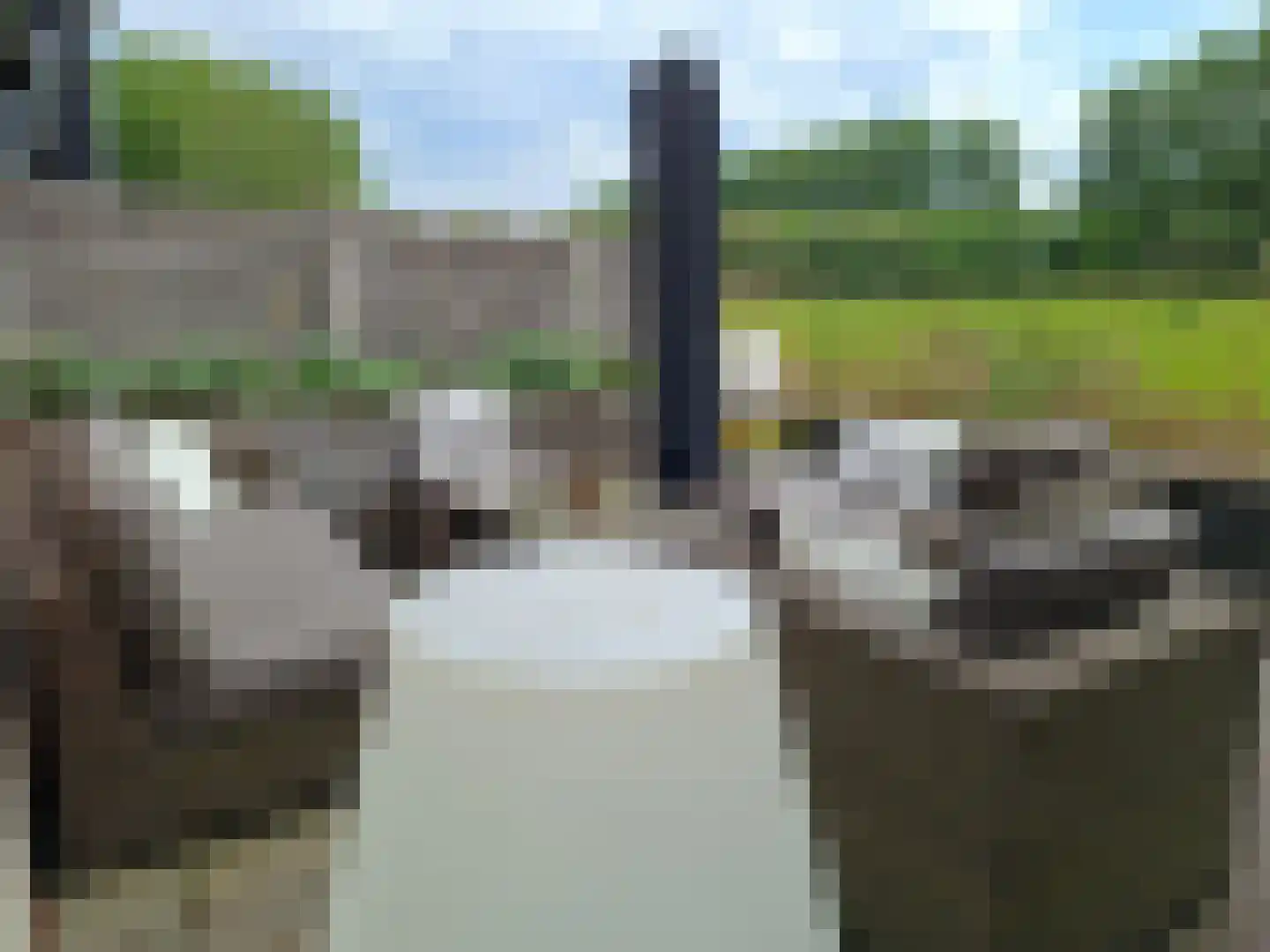 Boomdijk 7 Steenbergen thumbnail 61
