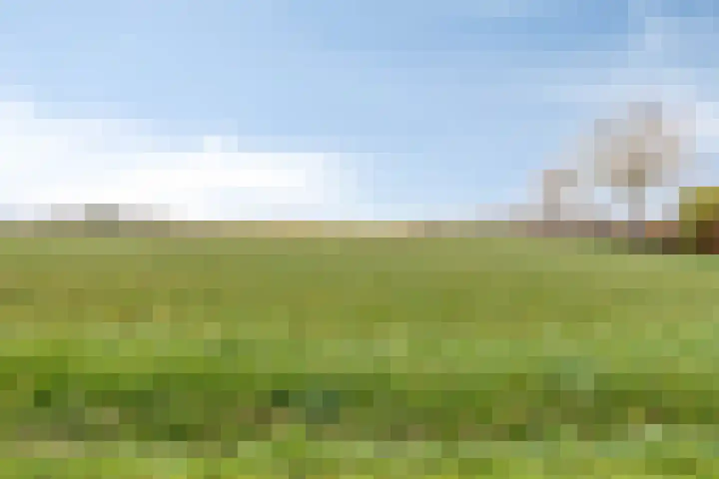 Boomdijk 7 Steenbergen thumbnail 62