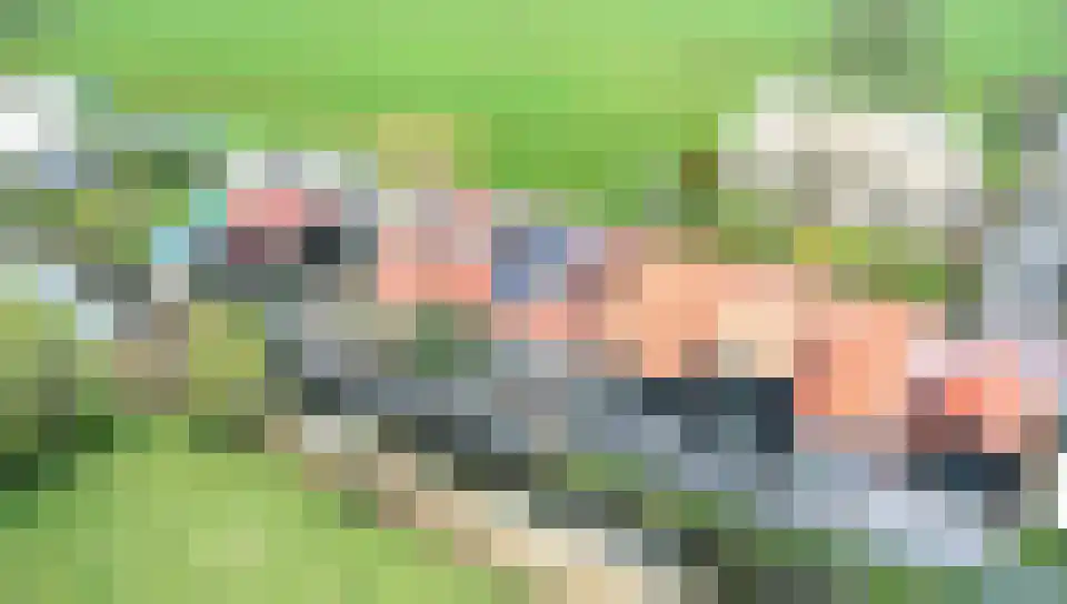 Boomdijk 7 Steenbergen thumbnail 69