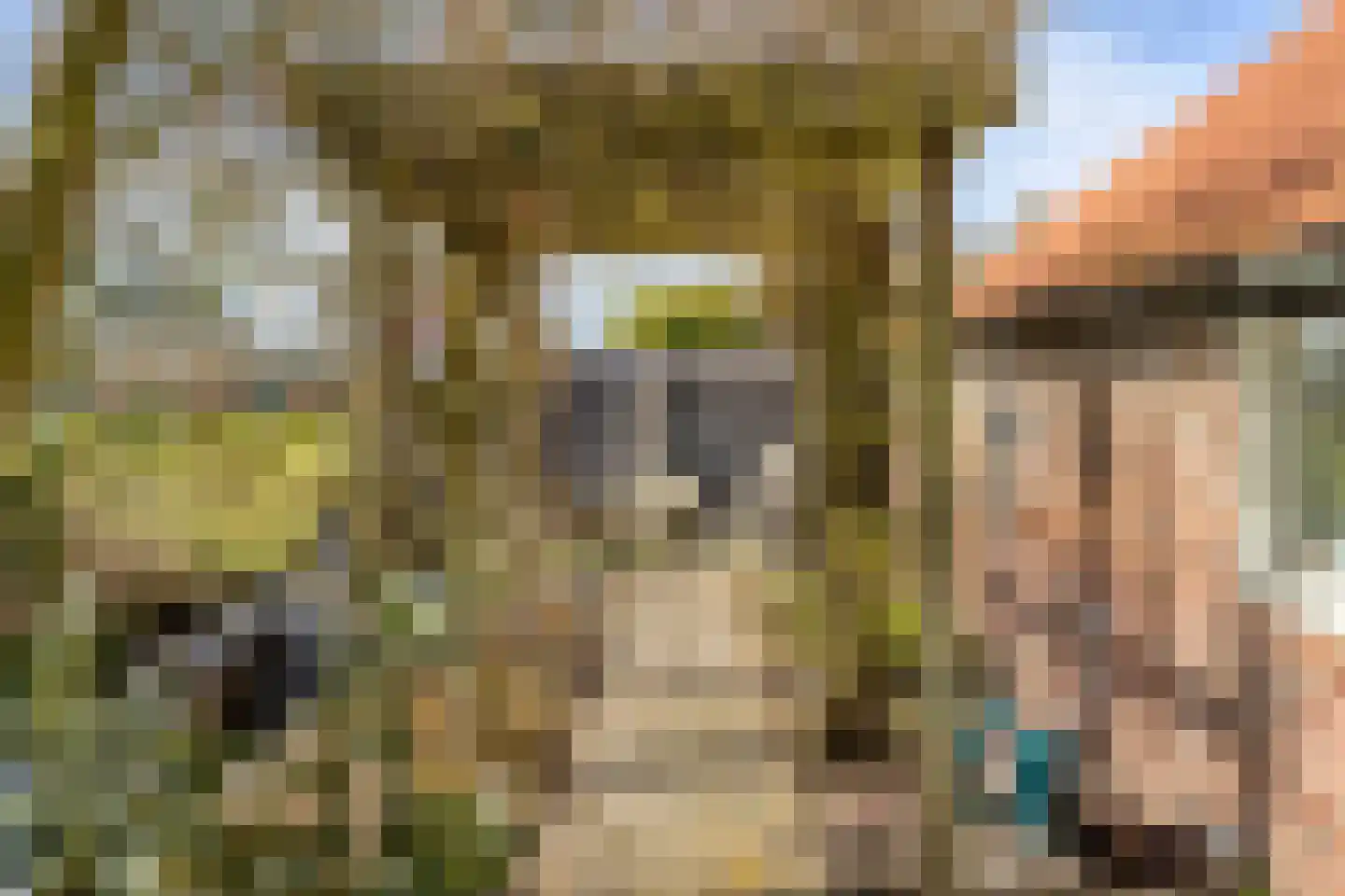 Boomdijk 7 Steenbergen thumbnail 70