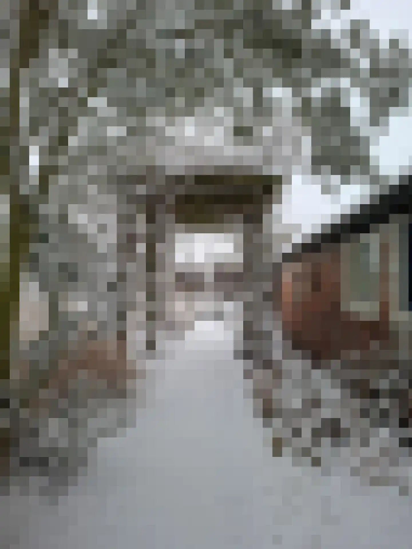 Boomdijk 7 Steenbergen thumbnail 71