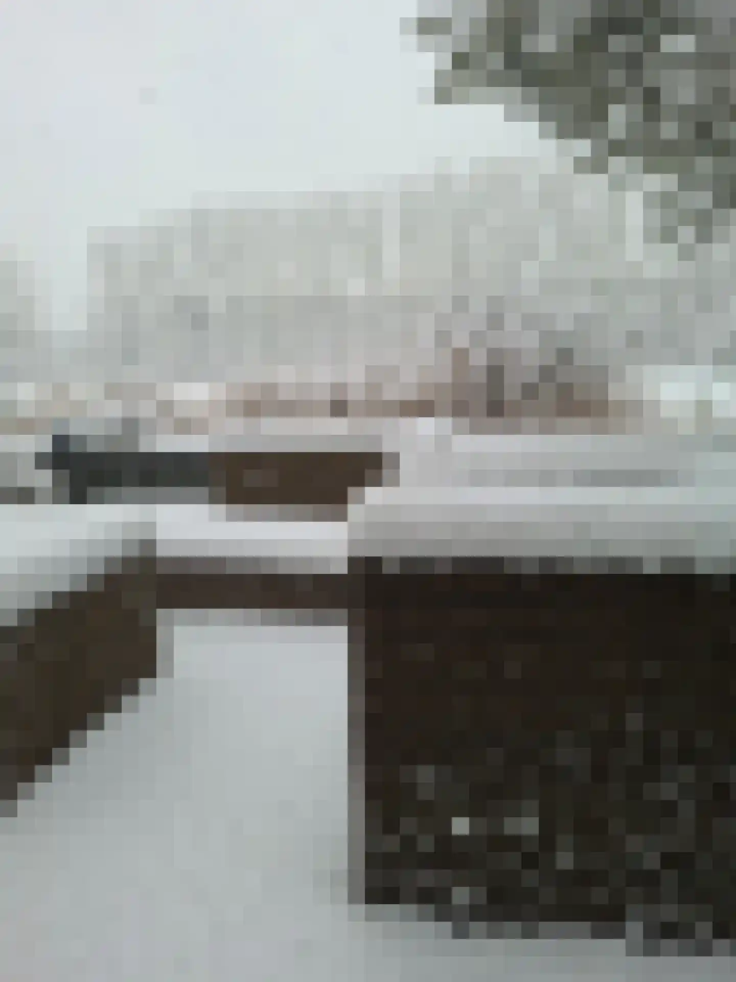 Boomdijk 7 Steenbergen thumbnail 72