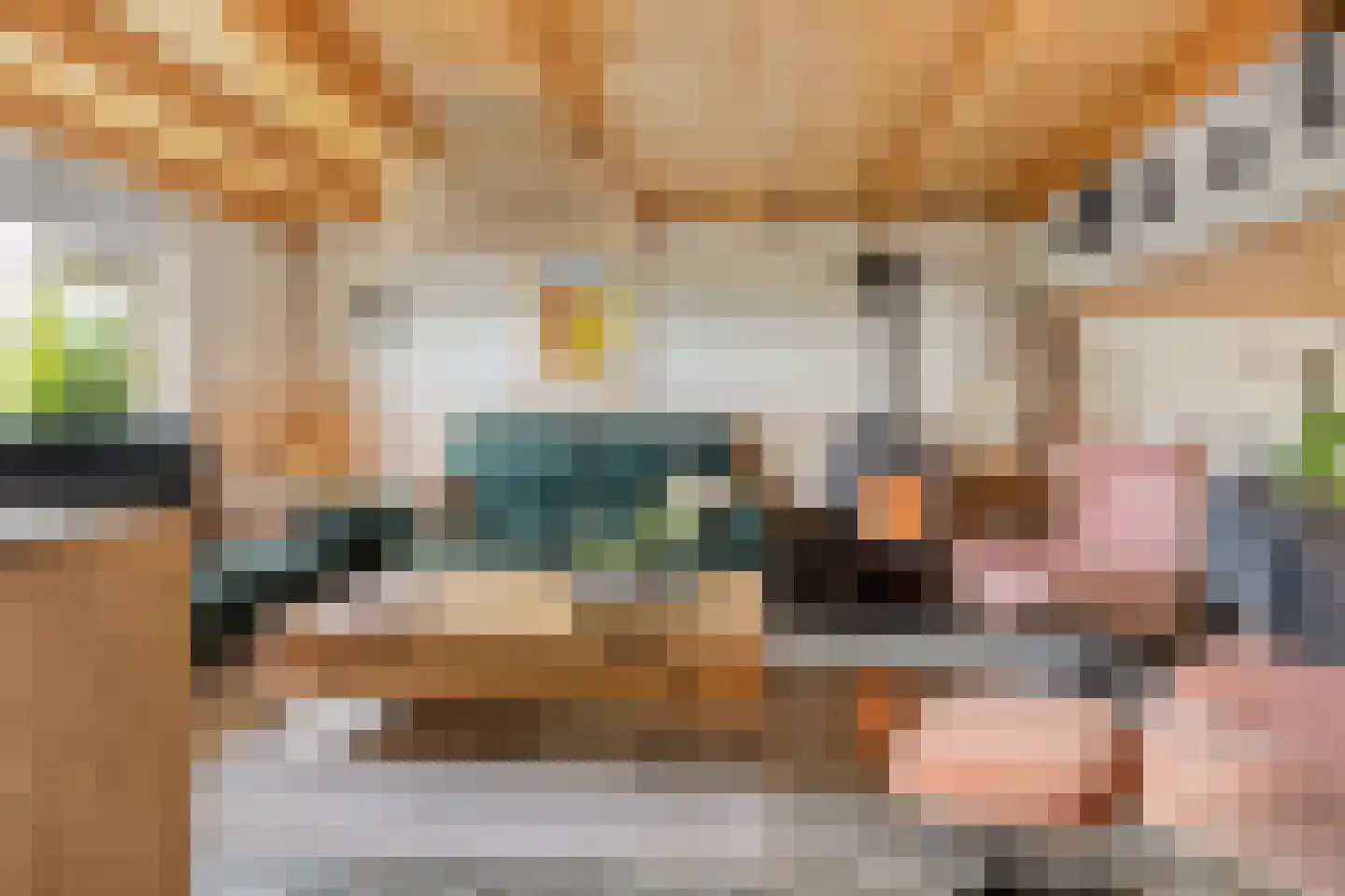 Boomdijk 7 Steenbergen thumbnail 8
