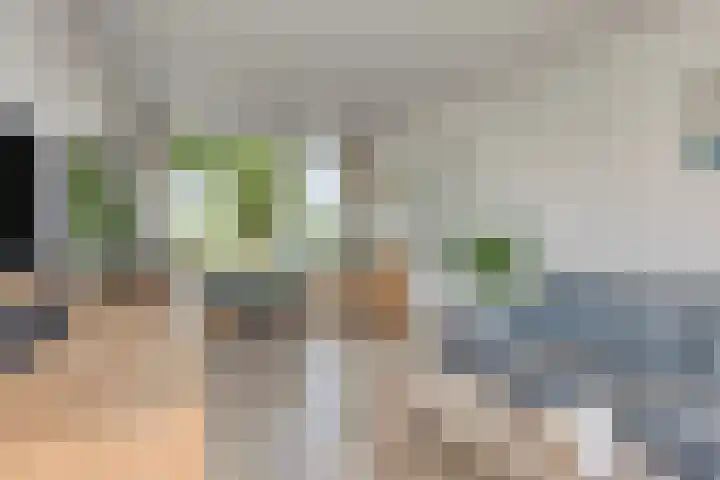 Boomdijk 9 Wolphaartsdijk thumbnail 13