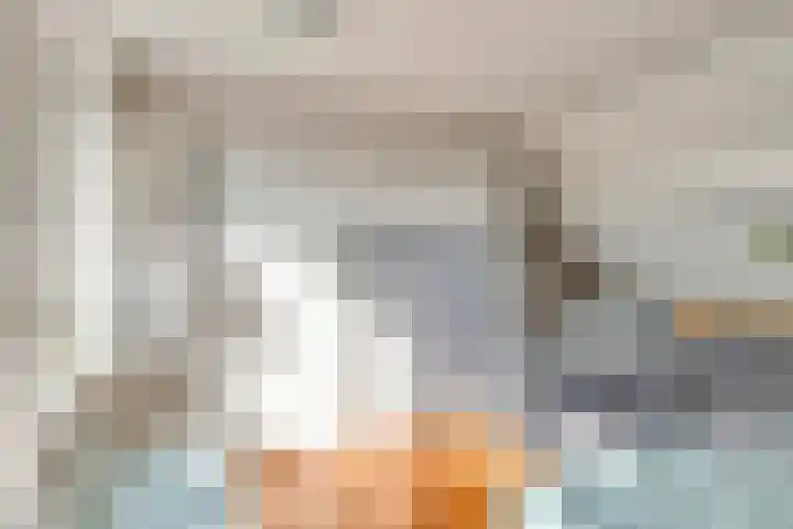 Boomdijk 9 Wolphaartsdijk thumbnail 31