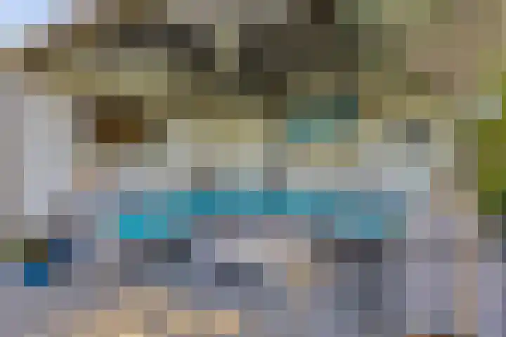Boomdijk 9 Wolphaartsdijk thumbnail 44