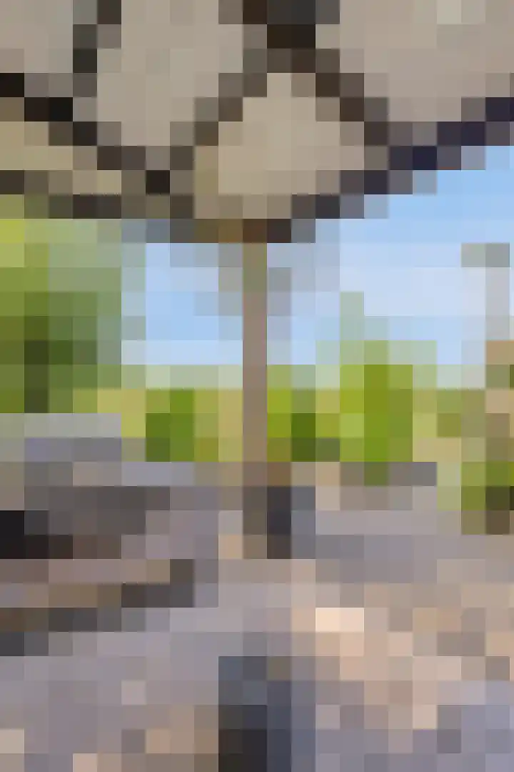 Boomdijk 9 Wolphaartsdijk thumbnail 45