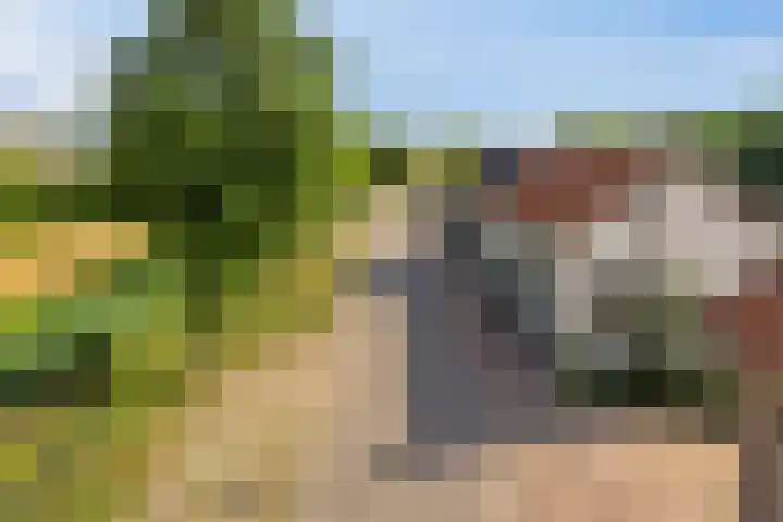 Boomdijk 9 Wolphaartsdijk thumbnail 49