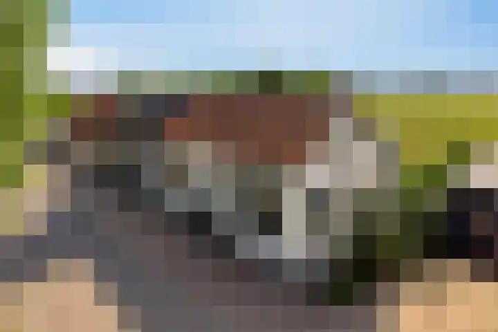 Boomdijk 9 Wolphaartsdijk thumbnail 55