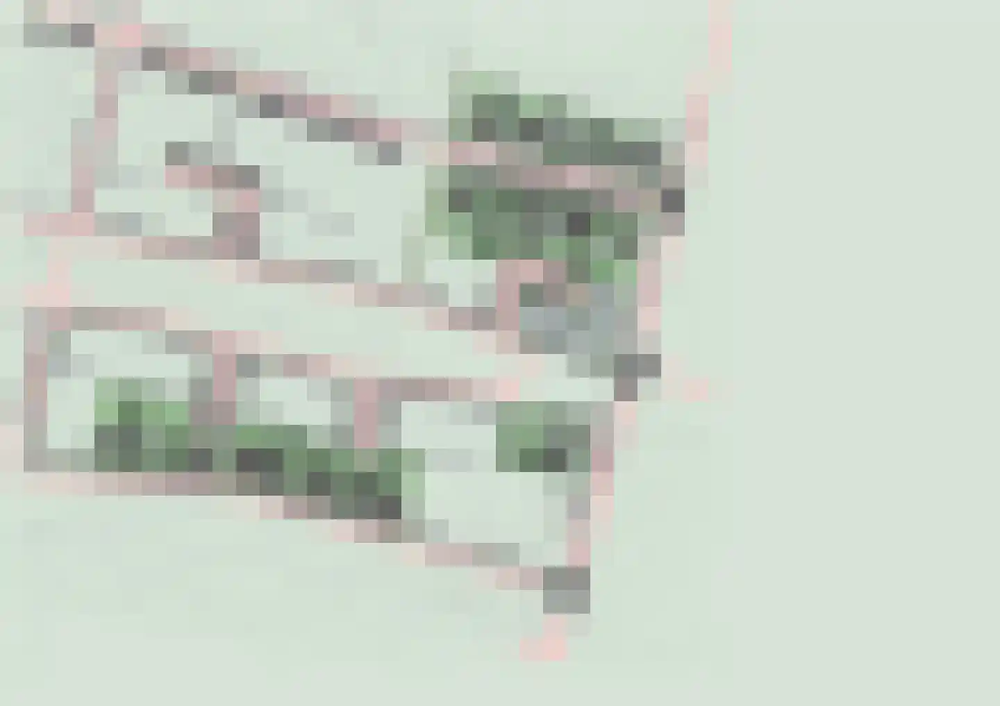 Boomgaard 1 Andel foto 2