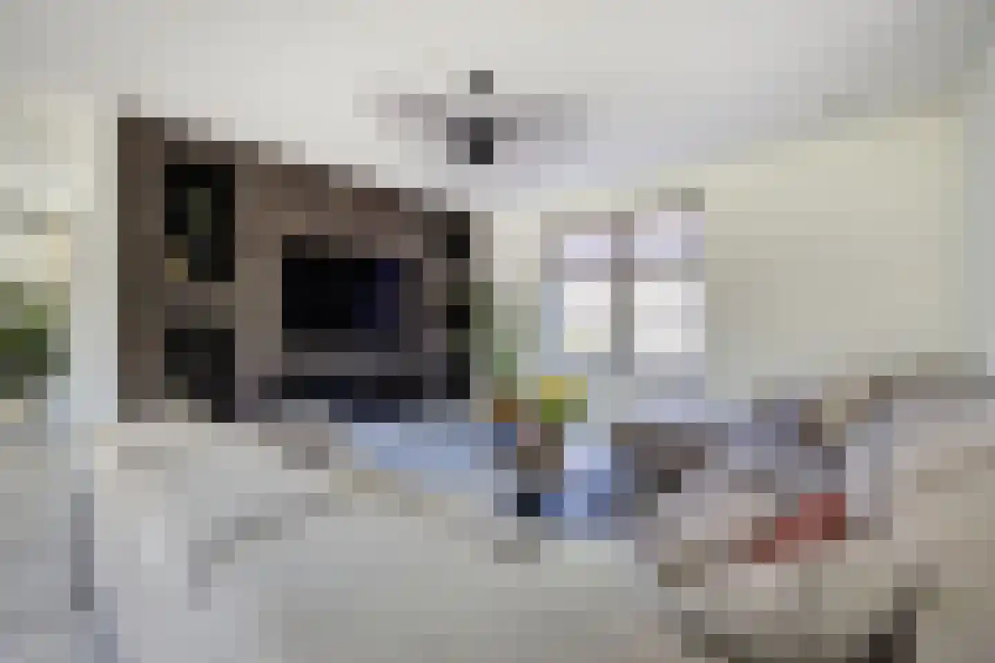 Boomgaard 1 Zundert thumbnail 12