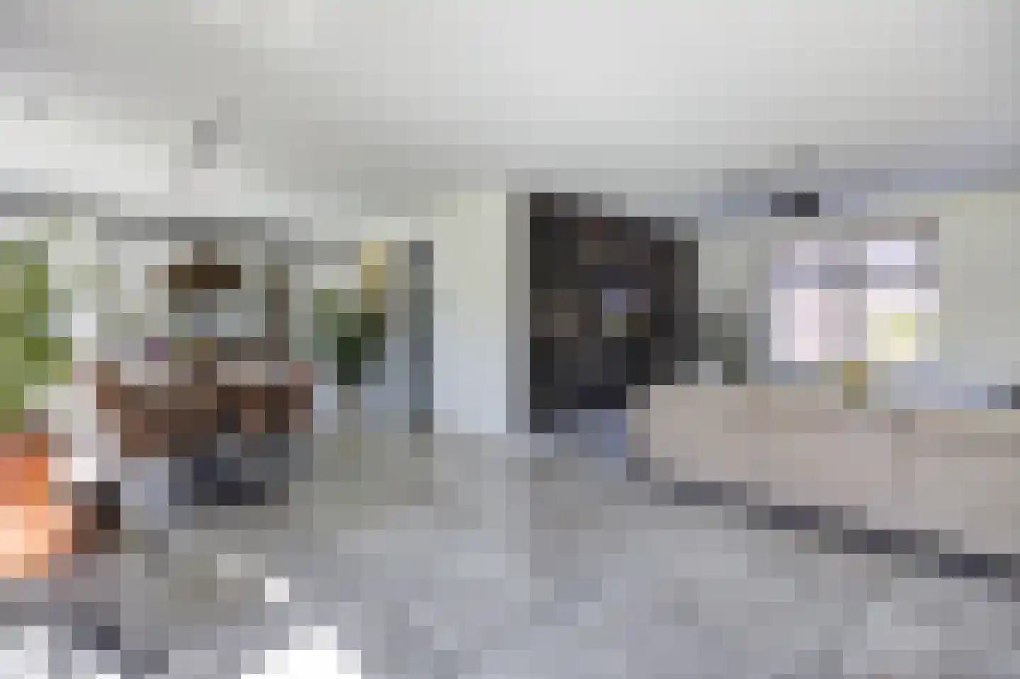 Boomgaard 1 Zundert thumbnail 13